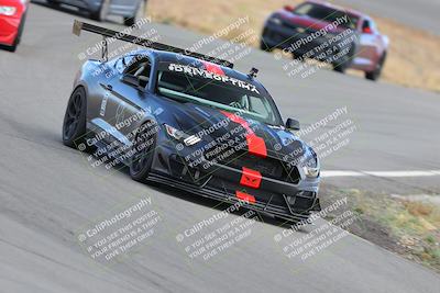 media/Nov-18-2023-Extreme Speed (Sat) [[10c227f63a]]/5-Blue/turn 9/